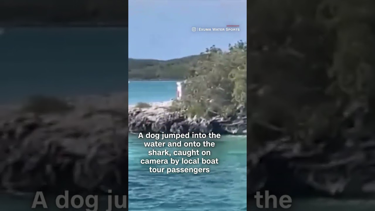 YouTube video preview