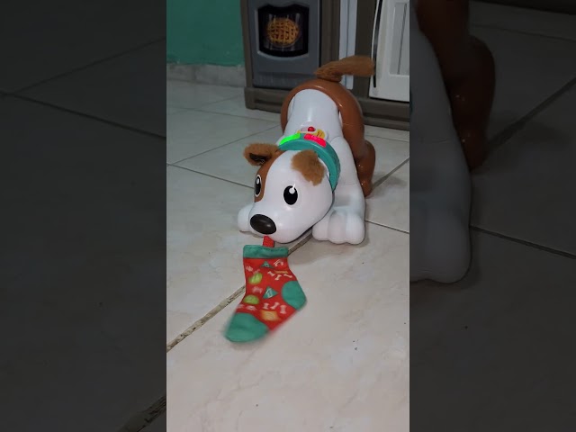 Vídeo relacionado con Fisher-Price FP Pets Pasea al Perrito Pug, Juguete de Arrastre con Forma de Perro Que Mueve Las Orejas y Las Patas y emite Sonidos de ladridos, Juguete Regalo para bebés +12 Meses, HTW94