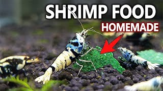 Making my own Shrimp Food