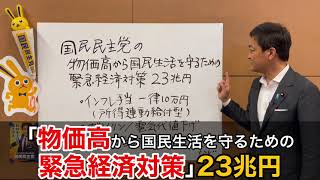 【解説】9月13日「物価高に対応する緊急経済対策」を発表