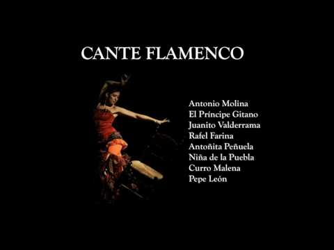 05 Pepe Pinto - El Limona y la Caleta - Cante Flamenco