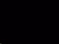 Opening To An American Tail 1991 VHS Version 1