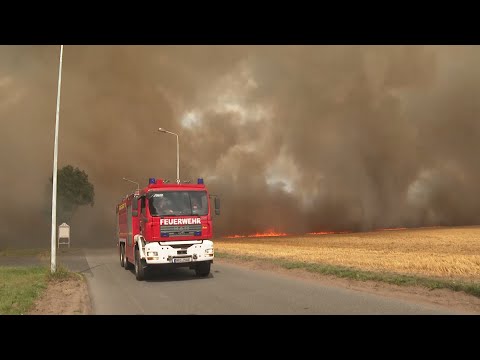 Großbrand nahe Rostock – Getreidefeld in Flammen