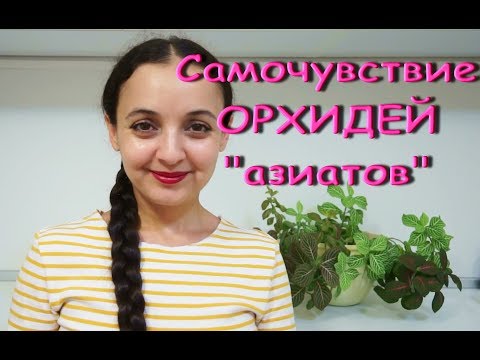 ОРХИДЕИ-АЗИАТЫ спустя МЕСЯЦ,о канале АНИ РУМЯНЦЕВОЙ,и приветы ЛИЗЕ,ИРИНЕ и КРИСТИНЕ :)