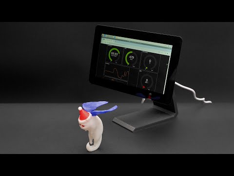 3D Hangouts - Pi Touch Case and Grumpy Cat Angel