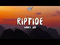 Vance Joy Riptide 1 Hour