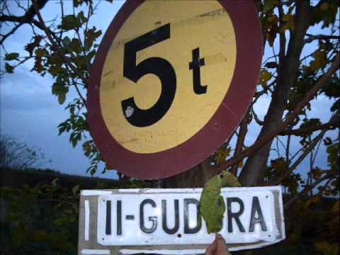 DT CREW -so fly/so high