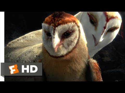 Legend of the Guardians (2010) - Chasing the Bluebird Scene (2/10) | Movieclips