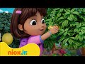 Dora Besucht Einen Musikalischen Wald NEUE Dora Die Ersten 5 Minuten Nick Jr Deutschland