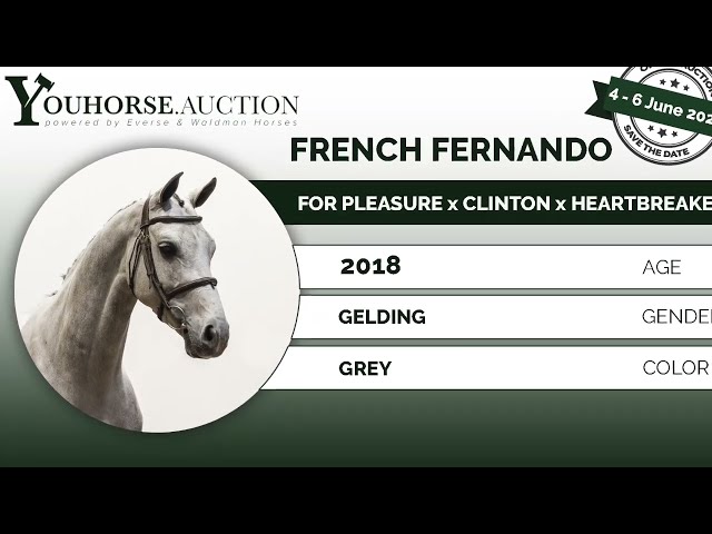 French Fernando @ show