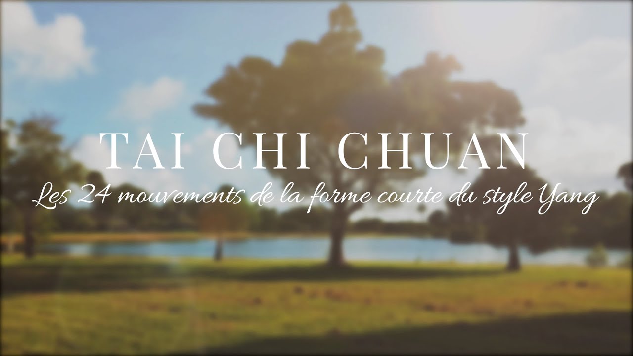 Tai Chi Chuan - Les 24 mouvements de la forme courte du style Yang Version Artistique.
