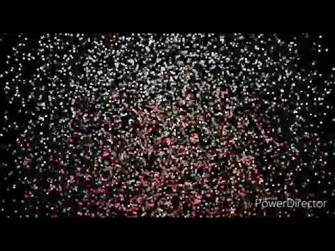 Numan happy birthday to you