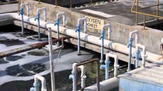 Quanta Paper and R3RUN Corporate Video