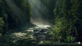 Keep Your Rifle by Your Side (Choir Version) Slowed down