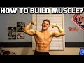 How to Build Muscle?