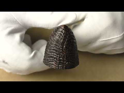 Becker 4 Clubs - pipe 040