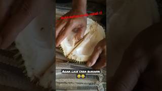 Download lagu bikin otak traveling #musangking #shorts mp3 Download lagu bikin otak traveling #musangking #shorts mp3