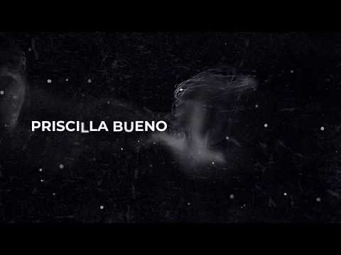 Priscilla Bueno - Arde en Mi (letra) (Lyrics) Video