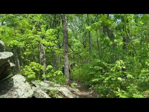 Day # 185 - 2022/05/21