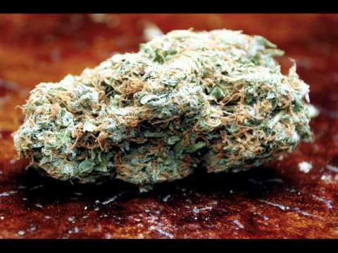 BRW & MWG & ZWNS Bakajoko - Turlaj Odpal Pal