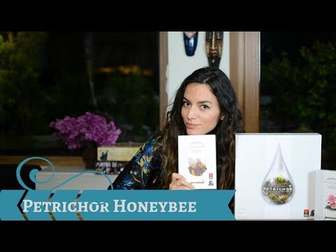 Play it Right - Petrichor Honeybee