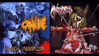 Cannibe- Lay Off Me  - Intravenous Molestation Of Obstructionist Arteries