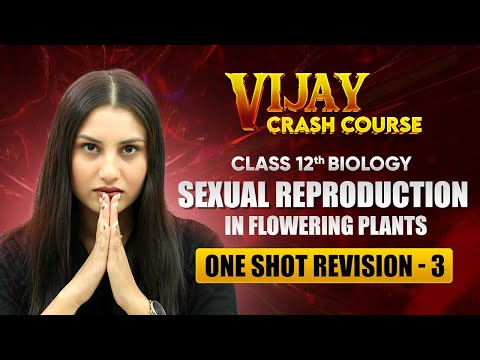 Sexual Reproduction in Flowering Plants One Shot Revision Part 1 Class 12 Biology Chapter 1
