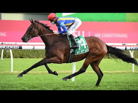 MELBOURNE CUP 2021 ASPIRANT SCORES MAIDEN STAKES WIN | 2021 KINGSTON TOWN STAKES (G3) | RANDWICK |