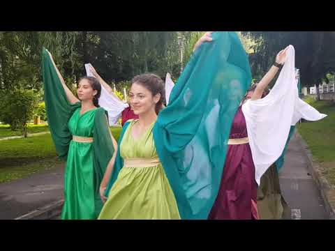 PARADA DACO-ROMANA GEOAGIU BAI 2018