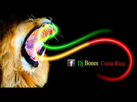 Mix Roots Only Hits 2014 Dj Bones Costa Rica