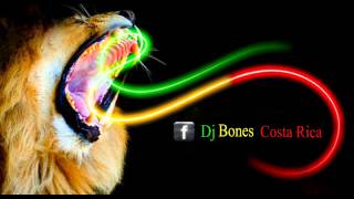 Mix Roots Only Hits 2014 Dj Bones Costa Rica