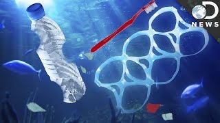 The New Way Microplastics Are Devastating Marine Life