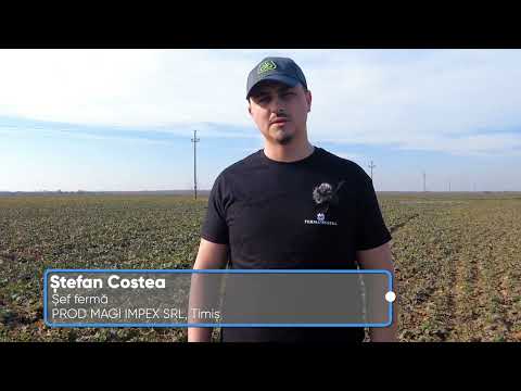 Testimonial Utrisha N - Costea Stefan, sef ferma Prod Magi, Timis