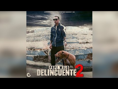 Papi Wilo - Delincuente 2 [Official Video]