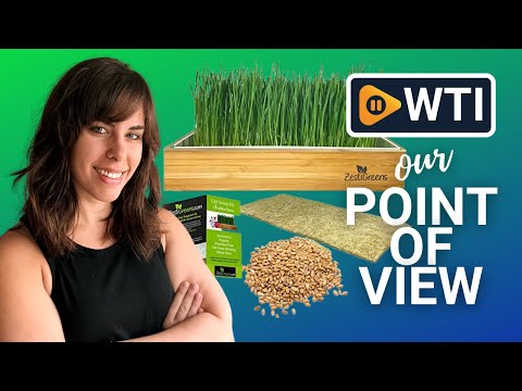 Zestigreens Cat Grass Kits - WTI product video review