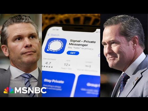 What is Signal and is it secure? Cyber security expert explains amid chat breach