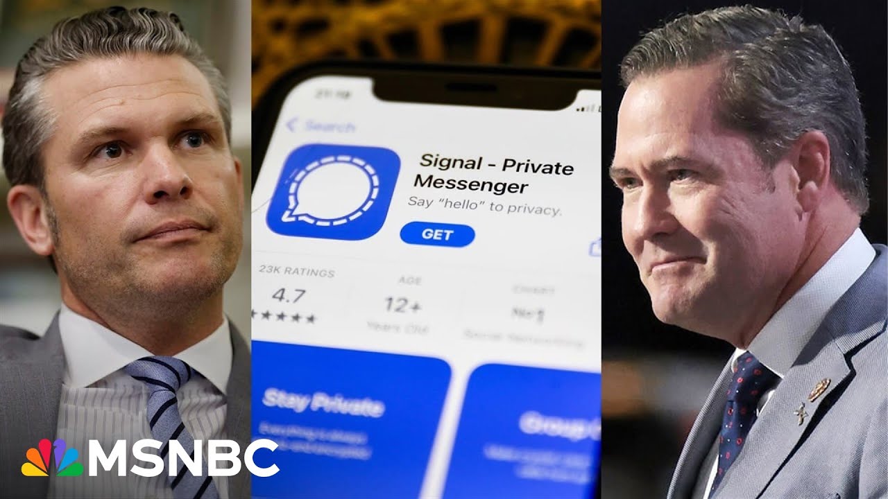 What is Signal and is it secure? Cyber security expert explains amid chat breach