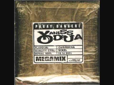 Yaniss Odua - Pagay Dangere (Megamix)