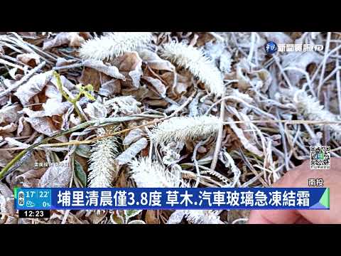 埔里清晨僅3.8度 草木.汽車玻璃急凍結霜