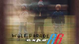 Wolf Parade - Cloud Shadow on the Mountain