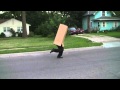 Dancing Box On The Street Not Getting Hit By A Car