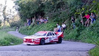 preview picture of video '50° Rally Alpi Orientali (2014)'