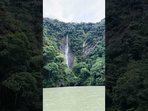 La imponencia de la Casca  en la zona del embalse de Chivor Boyacá Colombia #nature