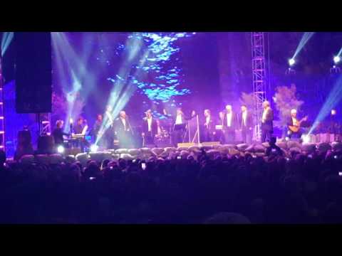 Lipe oči, Intrade u Ciboni 2016.