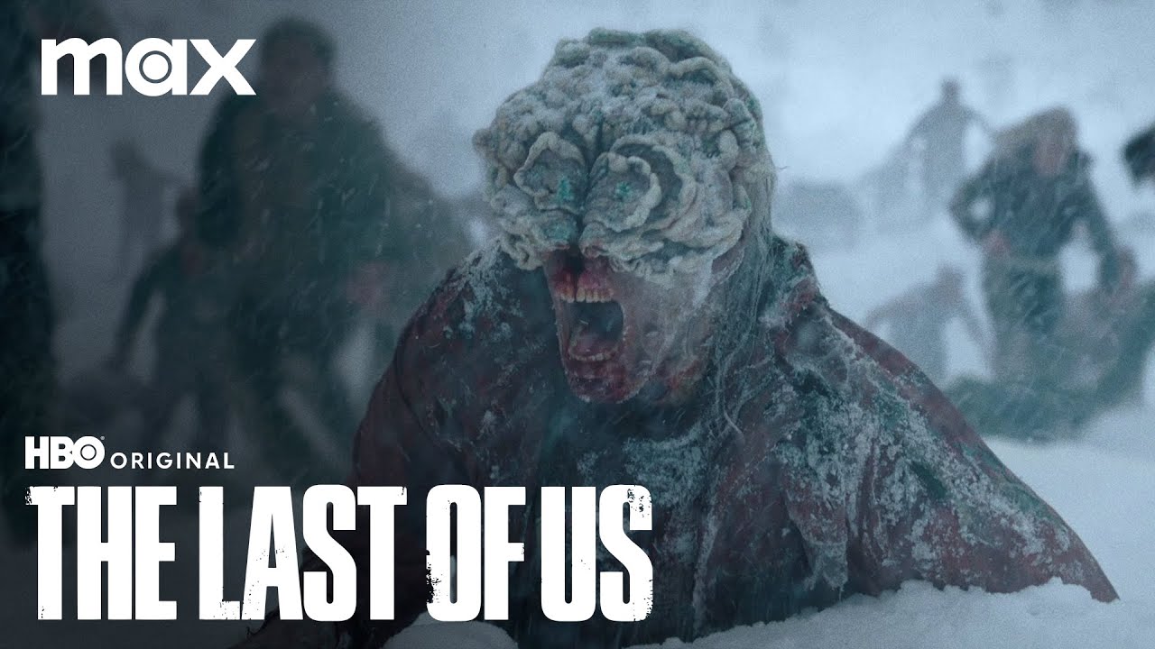 Aperçu : The Last of Us