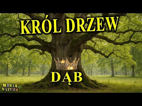 The Magic Tree - OAK - Shakes All Nature!