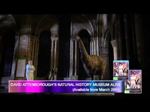 David Attenborough's - Natural History Museum Alive | DVD Preview