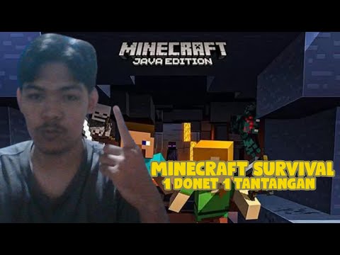 Insane Minecraft Survival Challenge - Livestreamed Gameplay!