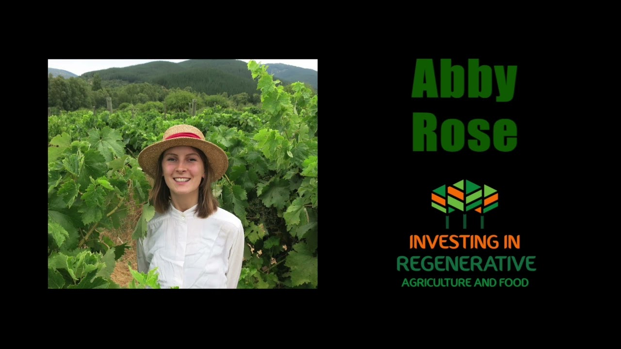 Abby Rose - On raising non-extractive funding and the power of AI to ...