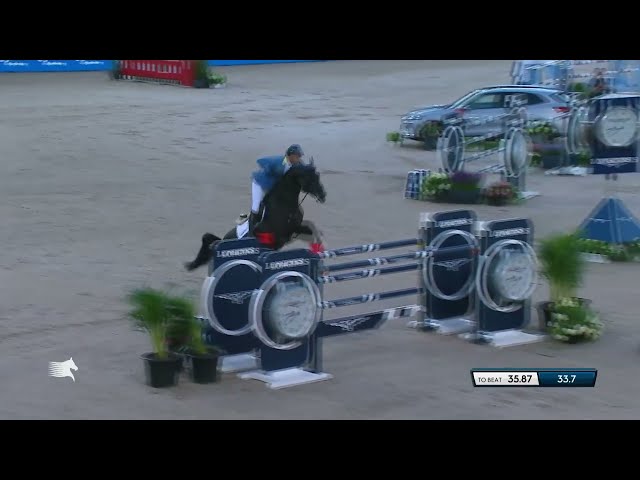 Father of this Frozen Embryo is the CSI 1.60m jumping Stallion Dominator Z with rider Christian Ahlmann.